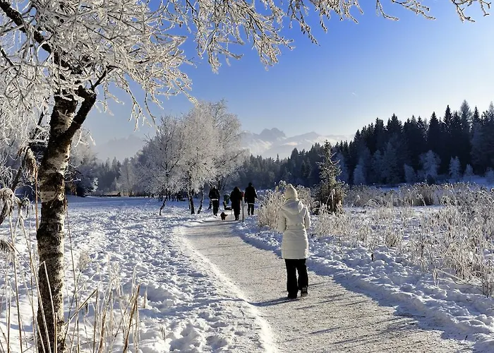 Haus Stefanie - Adults Only Gasthof 3*